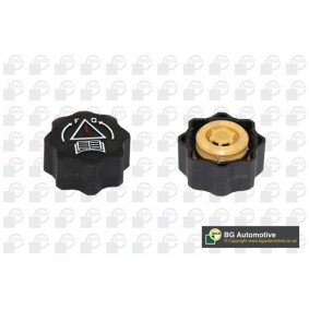 Achetez des Bouchon de liquide de refroidissement BGA CC3035 à prix pour 20,39 €