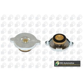 Achetez des Bouchon de liquide de refroidissement BGA CC3050 à prix pour 17,79 €