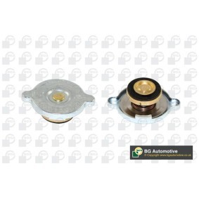 Achetez des Bouchon de liquide de refroidissement BGA CC3053 à prix pour 5,11 €
