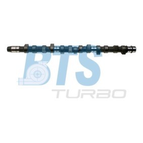 Køb Knastaksel af BTS TURBO CP10212 til den lave pris 2321,02 DKK