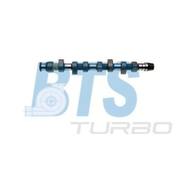 Acquista Albero a camme da BTS TURBO CP10213 a buon mercato per soli 247,07 €