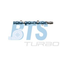 Køb Knastaksel af BTS TURBO CP10246 til den lave pris 2237,94 DKK