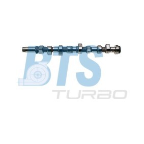 Acquista Albero a camme da BTS TURBO CP11113 a buon mercato per soli 12,12 €