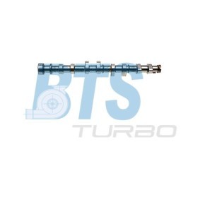 Acquista Albero a camme da BTS TURBO CP11124 a buon mercato per soli 350,95 €