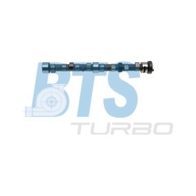 Acquista Albero a camme da BTS TURBO CP11128 a buon mercato per soli 194,22 €