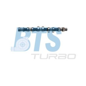 Acquista Albero a camme da BTS TURBO CP12236 a buon mercato per soli 209,31 €