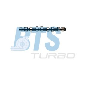 Achetez des Arbre à came BTS TURBO CP16400 à prix pour 380,35 €