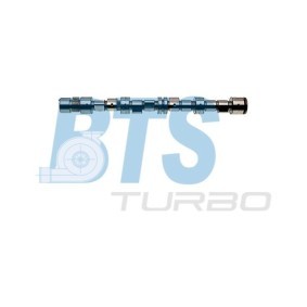 Acquista Albero a camme da BTS TURBO CP17352 a buon mercato per soli 187,59 €