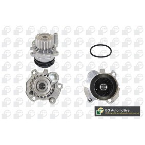 Achetez des Pompe à eau BGA CP18756 à prix pour 36,71 €