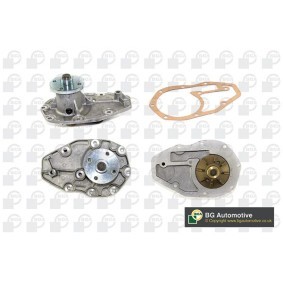 Achetez des Pompe à eau BGA CP2184 à prix pour 41,17 €