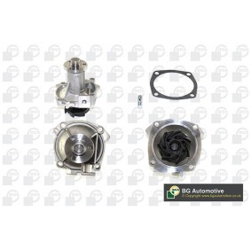 Achetez des Pompe à eau BGA CP2250 à prix pour 32,32 €