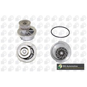 Achetez des Pompe à eau BGA CP2328 à prix pour 21,11 €