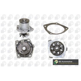 Achetez des Pompe à eau BGA CP2434 à prix pour 76,81 €