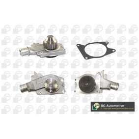 Achetez des Pompe à eau BGA CP2458 à prix pour 91,84 €