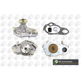 Achetez des Pompe à eau BGA CP2482 à prix pour 30,50 €