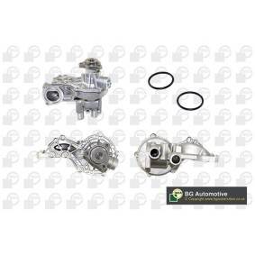 Achetez des Pompe à eau BGA CP2698 à prix pour 40,78 €