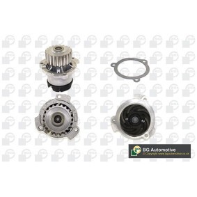 Achetez des Pompe à eau BGA CP2770 à prix pour 36,91 €