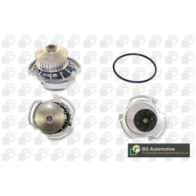 Achetez des Pompe à eau BGA CP2794 à prix pour 22,77 €