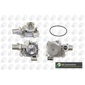 Achetez des Pompe à eau BGA CP2874 à prix pour 92,45 €