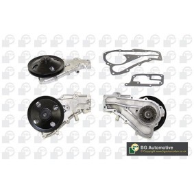 Achetez des Pompe à eau BGA CP2900 à prix pour 97,94 €