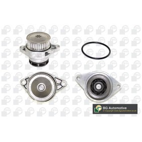 Acquista Pompa acqua da BGA CP3060 a buon mercato per soli 23,94 €