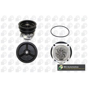Achetez des Pompe à eau BGA CP3088 à prix pour 97,94 €