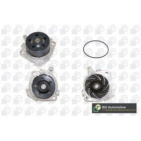 Achetez des Pompe à eau BGA CP3090 à prix pour 78,38 €