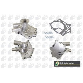 Achetez des Pompe à eau BGA CP3134 à prix pour 31,12 €