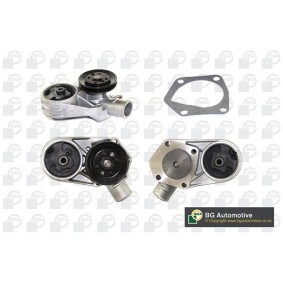 Achetez des Pompe à eau BGA CP3138 à prix pour 63,38 €