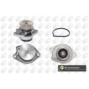 Achetez des Pompe à eau BGA CP3162 à prix pour 24,79 €