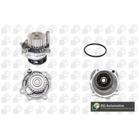 Acquista Pompa acqua da BGA CP3176 a buon mercato per soli 26,53 €