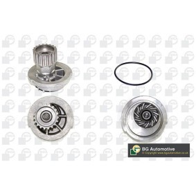 Achetez des Pompe à eau BGA CP3266 à prix pour 76,81 €
