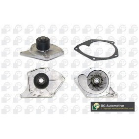 Achetez des Pompe à eau BGA CP3314 à prix pour 25,30 €