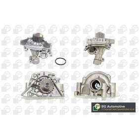 Wasserpumpe von BGA CP3350H