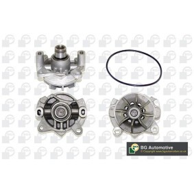 Achetez des Pompe à eau BGA CP3372 à prix pour 21,99 €