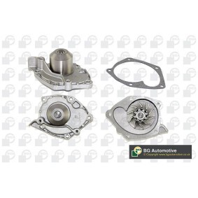 Achetez des Pompe à eau BGA CP3386 à prix pour 93,71 €
