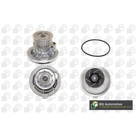 Achetez des Pompe à eau BGA CP3392 à prix pour 80,95 €