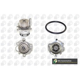 Achetez des Pompe à eau BGA CP3486 à prix pour 35,76 €