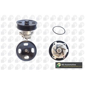 Achetez des Pompe à eau BGA CP3716 à prix pour 44,17 €