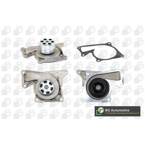 Achetez des Pompe à eau BGA CP3830 à prix pour 44,64 €