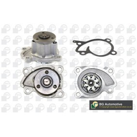 Achetez des Pompe à eau BGA CP3862 à prix pour 21,96 €
