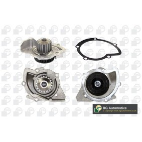 Achetez des Pompe à eau BGA CP3910 à prix pour 93,80 €