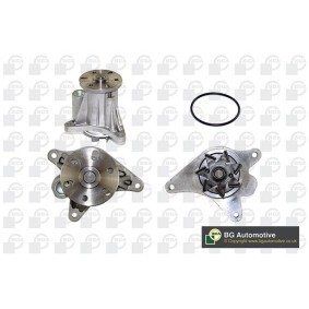 Achetez des Pompe à eau BGA CP4296E à prix pour 51,58 €