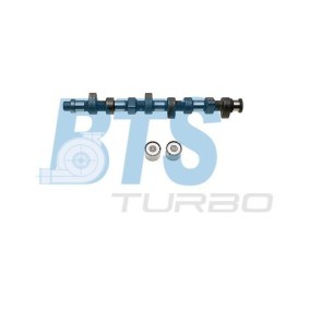 Køb Knastakselsæt af BTS TURBO CP60205 til den lave pris 3212,01 DKK