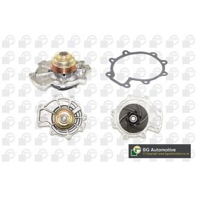 Achetez des Pompe à eau BGA CP6818T à prix pour 92,00 €