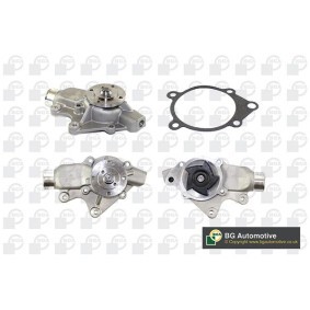 Achetez des Pompe à eau BGA CP6824 à prix pour 126,56 €