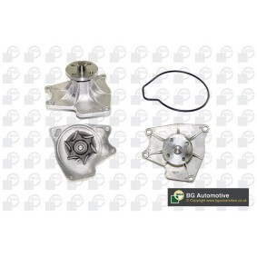 Achetez des Pompe à eau BGA CP6894T à prix pour 36,46 €