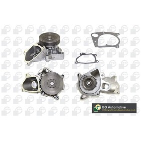 Achetez des Pompe à eau BGA CP7128T à prix pour 119,49 €