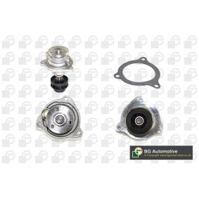 Achetez des Pompe à eau BGA CP7208T à prix pour 35,61 €