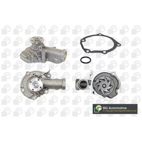 Achetez des Pompe à eau BGA CP7230T à prix pour 37,22 €